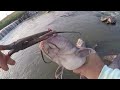 URBAN Creek Fishing WATERFALL Spillway Up Close ( Tons Of Fish)