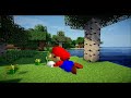 Mario goes to Minecraft