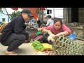 Harvest Chicken Eggs, Vegetables & Chickens go market | Lý Thị Ca.