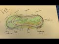 Planning an AMAZING Model Railway Layout in 009 Narrow Gauge