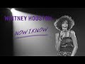 Whitney Houston - How Will I Know (2022 10th Anniversary Rework)