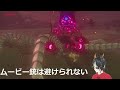 ゼルダの伝説 ブレス オブ ザ ワイルド　逆montage3