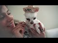 New Puppy Surprise! *Emotional*