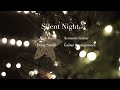 Silent Night. Acoustic guitar. Rick Raub