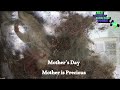 Mother's Day: Mother is Precious