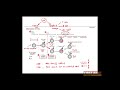 First Aid for the USMLE Step 1, IMMUNOLOGY + 05 = Positive and negative selection of T cells