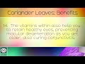 Coriander Leaves: Benefits and Uses (Dhania/Cilantro)