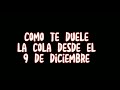 como te duele la cola desde el 9 de diciembre-5TO aniversario