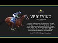 VERIFYNG