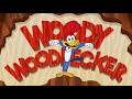 Woody vacances à Rio | Woody Woodpecker en Français | Dessin Animé