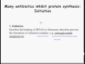 Eukaryotic Protein Synthesis and Antibacterial Agents