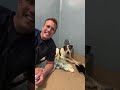 Someone came to adopt him but didn’t like the way he was acting (🔴Live Pupdate Wesley)