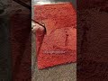 Scraping dirty water off carpets Compilation Pt. 1 || Satisfying Video