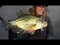 Ice Fishing Weed-Edge Crappies - EARLY ICE!!