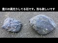 初めての水石73　探石