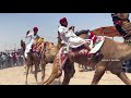 Camel competition in balotra pashu mela 2022