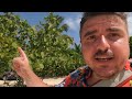 Boat Trip around Las Galeras | Dominican Republic Vlog 2022 4K