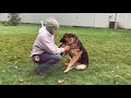 How to stop Dog Anxiety, Aggression, Pulling on the leash! German Shepherd Training Full tutorial