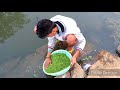 Low-cost Azolla Production for Sustainable Feed Managment