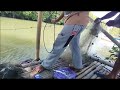 entas jaring di sungai wonokerto pekalongan Luar biasa hasilnya /youtube palno dieng angler