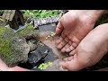 Fairy Garden | Miniature Fairy Village with Fish Pond | DIY Mini Pond