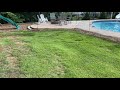 Zoysia Grass Seed Project Video 14.