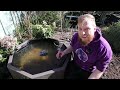 Easiest wildlife pool build! FROGS, BIRDS, BUGS and MORE turned up.