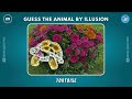 Guess the Animals by ILLUSIONS 🐵🐈🦌 Find the Hidden Animals | More Quiz Pro