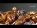 Benefits Of Dates Fruit: An Easy and Delicious Way to Boost Your Health.