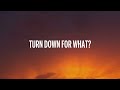 DJ Snake, Lil Jon - Turn Down for What (Lyrics)