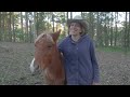 Unboxing Smithbilt Hats Canada 🐴Australian Horse Training