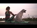 Guided Meditation to Help Deal With Grieving a Dog 🐾 Saying Goodbye to a Dog Meditation ❤️