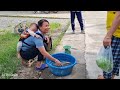 Harvesting fish ponds to sell at the market - cooking with my son | Lý Thị Ghển