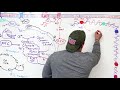 Cell Biology | Cell Cycle Regulation