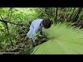 The orphan boy dug cassava to sell, took leaves and bamboo to repair the house.