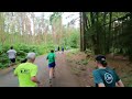 Delamere 500th Parkrun 15/06/2024