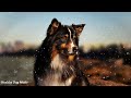 Relaxing Dog Music 🐶 Soothing Melodies to Calm Your Dog | Gentle Piano 💖 Calming Dog Music