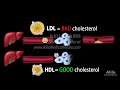 Cholesterol Metabolism, LDL, HDL and other Lipoproteins, Animation