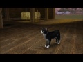 Sims 3 Pets Cat Breeds