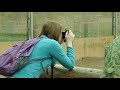 Outer Hebrides part 19 - Blair Drummond Safari Park