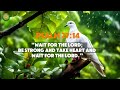 Trust In The Lord | Deep Prayers And Worship Instrumental Piano Music