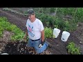 This Garden Yields Over 6,000 Pounds of Produce a Year!