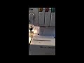 BROTHER 2340CV CHAIN & COVER STITCH MACHINE