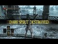 DARK SOULS 3 Butcher Knife VS Black Knight Glaive