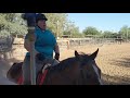 Michelle and Ruby Intro Dressage Test A 6/29