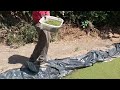 HOW TO MAKE AZOLLA POND, CHEAP & EASY #agriculture #farming