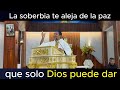 La soberbia te aleja de la paz que solo Dios puede dar