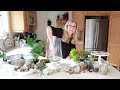 Closed terrarium with live plants: what you need to know before you start.