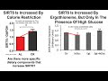 SIRT6 Positively Affects The Hallmarks Of Aging And Extends Lifespan