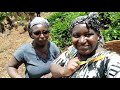 Holiday Vacation at the foot of Mt. Kenya